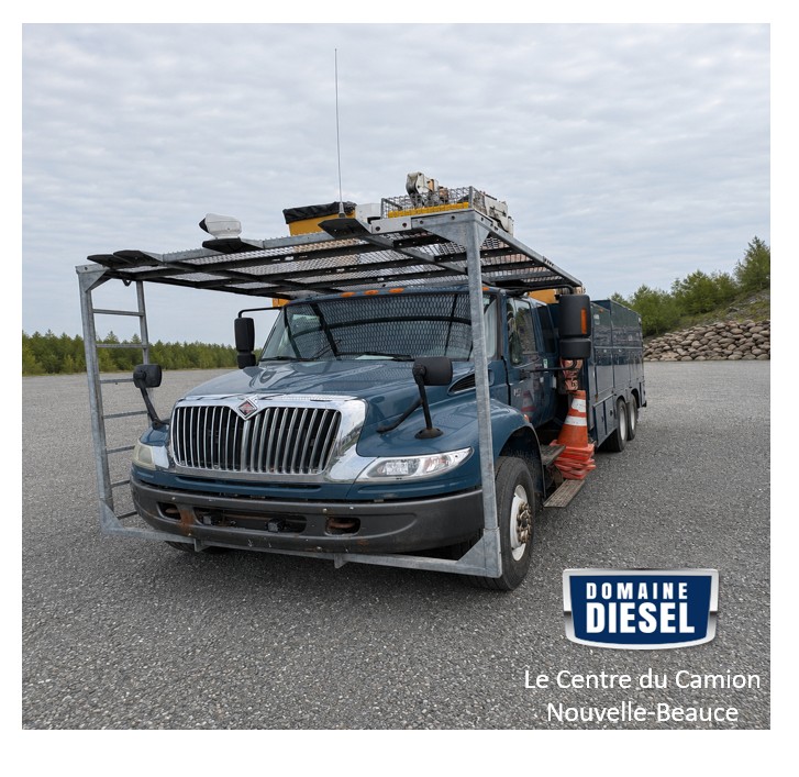 International 4400 2006 Avec Nacelle Posi-Plus 500-50-RUT Panier-double 2005